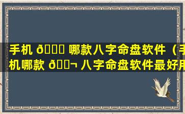 手机 🐒 哪款八字命盘软件（手机哪款 🐬 八字命盘软件最好用）